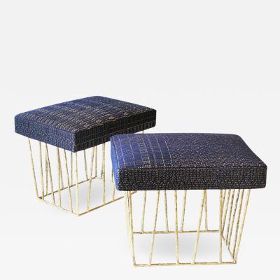 Anne Vincent Corbiere Cage