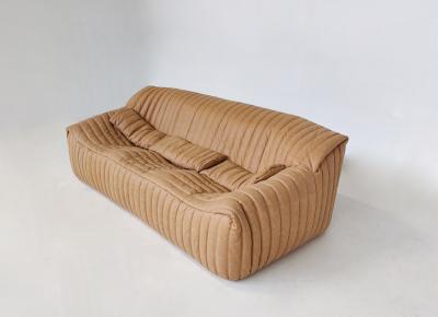 Annie Hieronimus Mid Century Sandra Seating Set by Annie Hieronimus for Ligne Roset