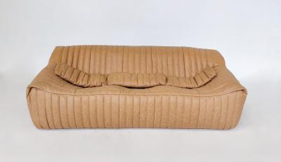 Annie Hieronimus Mid Century Sandra Seating Set by Annie Hieronimus for Ligne Roset
