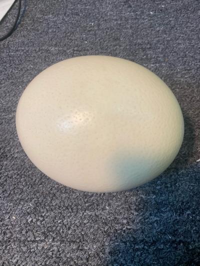 Anthony Redmile BRASS GIRAFFE AND OSTRICH EGG SCULPTURE IN THE MANNER OF ANTHONY REDMILE