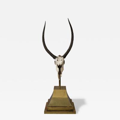 Anthony Redmile Ibex Skull on Stand by Anthony Redmile