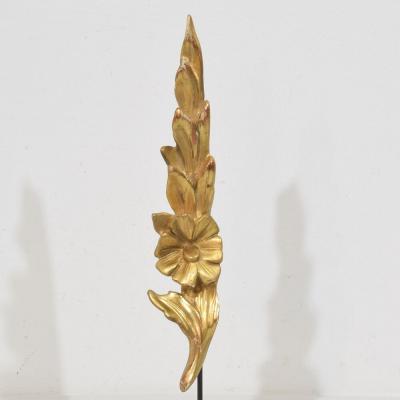 Antique 19th Century Italian Carved wood Baroque Style Ornaments Circa 1850