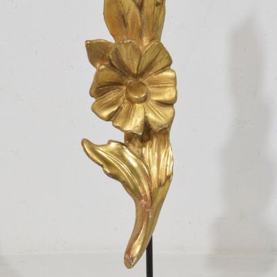 Antique 19th Century Italian Carved wood Baroque Style Ornaments Circa 1850