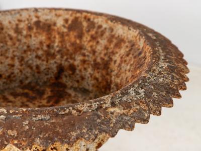 Antique Cast Iron Urn English Classically Styled Planter Victorian 19th Century