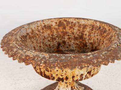 Antique Cast Iron Urn English Classically Styled Planter Victorian 19th Century