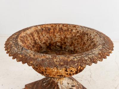 Antique Cast Iron Urn English Classically Styled Planter Victorian 19th Century