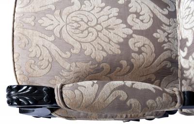 Antique Ebonized Library Armchair Directoire Style France 1860 s 