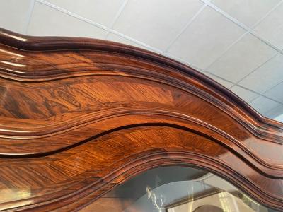 Antique French Showcase Bookcase Louise Philippe 1850s