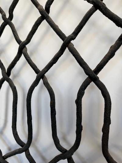 Antique French Wrought Iron Gate