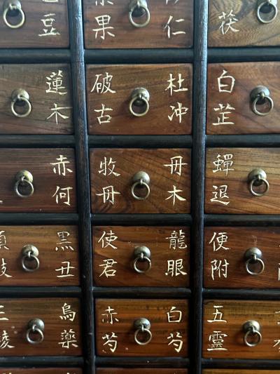 Antique Korean Medicine Chest with Drawers