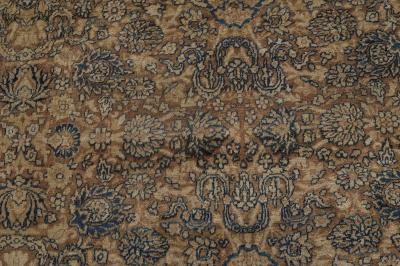 Antique Persian Kirman Botanic Handmade Wool Rug