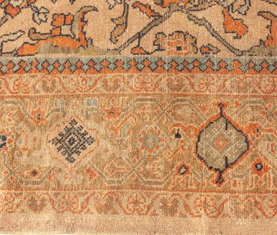 Antique Persian Sultanabad Botanic Orange Tan Hand Knotted Wool Rug