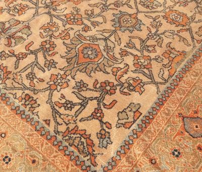 Antique Persian Sultanabad Botanic Orange Tan Hand Knotted Wool Rug