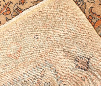 Antique Persian Sultanabad Botanic Orange Tan Hand Knotted Wool Rug
