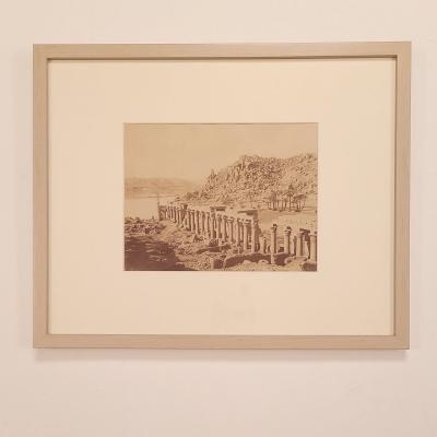 Antique Photograph of Egyptian Colonnade circa 1860