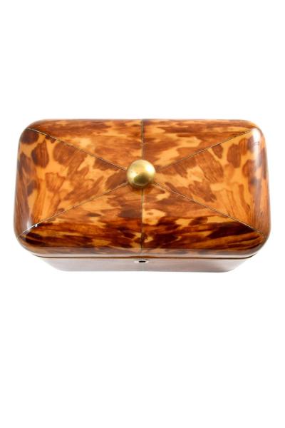 Antique Regency Blond Tortoiseshell Tea Caddy England 1840 s