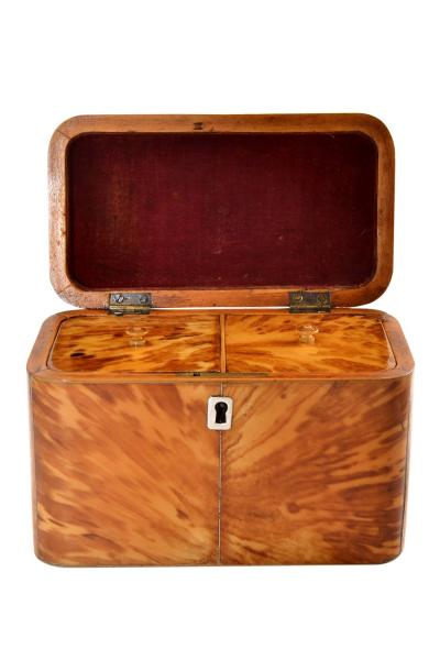 Antique Regency Blond Tortoiseshell Tea Caddy England 1840 s