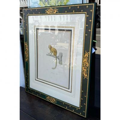 Antique Trobridge Gallery C 1824 Monkey Engraving Print W Chinoiserie Frame