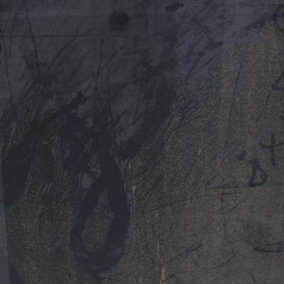 Antoni Tapies Als Mestres De Catalunya Antoni Tapies 1974