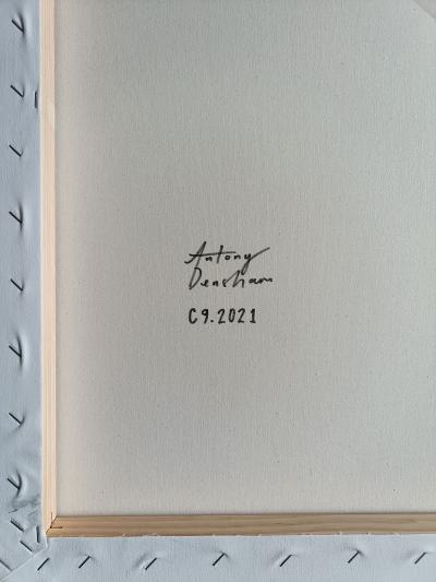 Antony Densham C9 2021