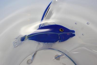 Aquarium Centerpiece by Pino Signoretto