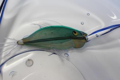 Aquarium Centerpiece by Pino Signoretto