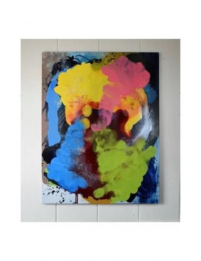 Aquil Copier Untitled Symbolic universes and chameleons playing in the kindergarten 