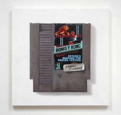 Arlo Sinclair Donkey Kong Natures Revenge NES