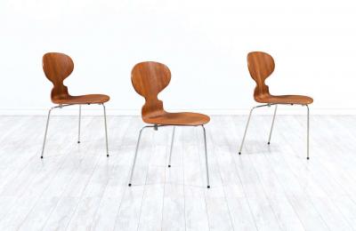 Arne Jacobsen Arne Jacobsen Ant Model 3100 Teak Chairs for Fritz Hansen