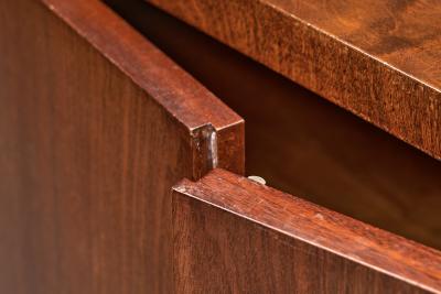 Art Deco Cabinet in Birch with Illustrative Details Europe 1930s