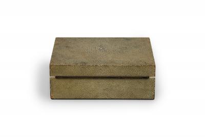 Art Deco Shagreen and Bone Trimmed Box