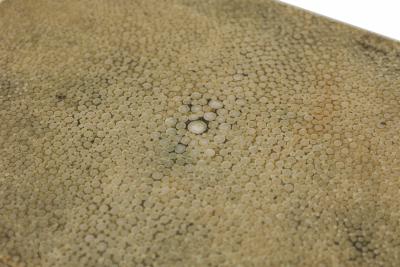 Art Deco Shagreen and Bone Trimmed Box