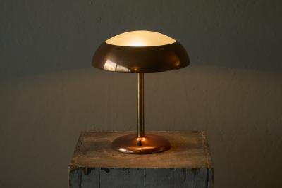 Art Deco Table Lamp in Patinated Copper Brass and Satin Glass 1950s