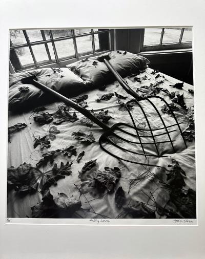 Arthur Tress Framed Editioned Photograph Raking Leaves Arthur Tress