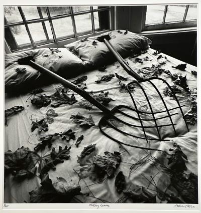 Arthur Tress Framed Editioned Photograph Raking Leaves Arthur Tress