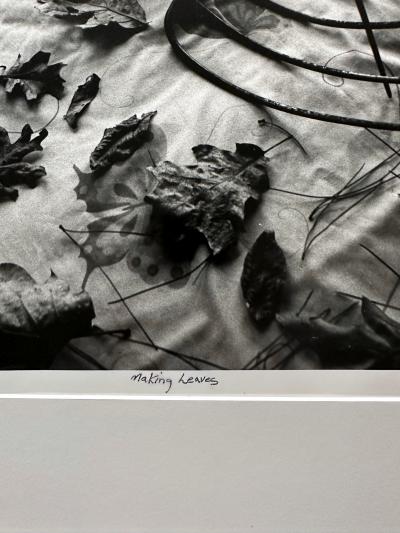 Arthur Tress Framed Editioned Photograph Raking Leaves Arthur Tress