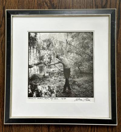 Arthur Tress Framed Editioned Vintage Photograph Adam in Central Park New York Arthur Tress