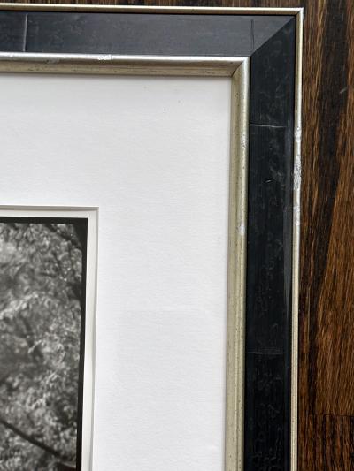 Arthur Tress Framed Editioned Vintage Photograph Adam in Central Park New York Arthur Tress