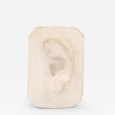 Artists Plaster Model of an Ear circa 1880