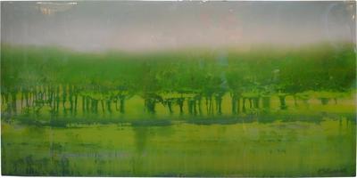 Arturo Mallmann Green Dream by Arturo Mallmann
