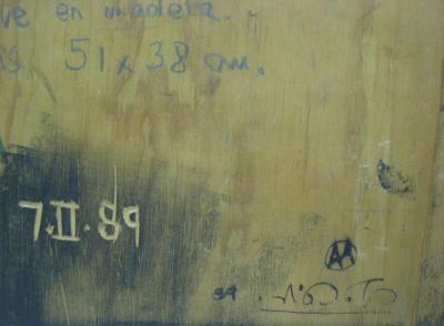 Arturo Miranda Videgaray La Regadera Volosa y Lluviosa by Arturo Miranda Videgaray