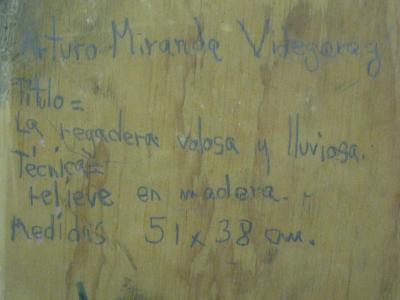 Arturo Miranda Videgaray La Regadera Volosa y Lluviosa by Arturo Miranda Videgaray