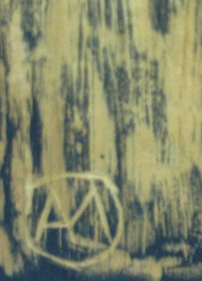 Arturo Miranda Videgaray La Regadera Volosa y Lluviosa by Arturo Miranda Videgaray