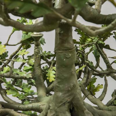 Attilio Maggia Rosa Big bush chandelier