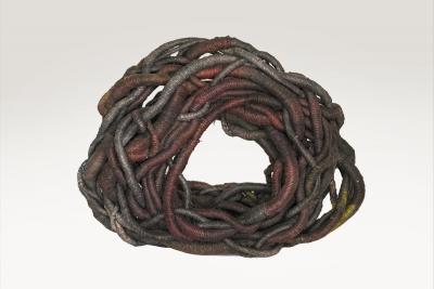 Aude Franjou Grand nid d encre IV