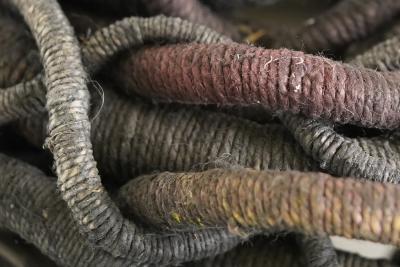 Aude Franjou Grand nid d encre IV