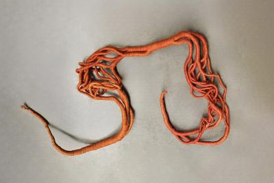 Aude Franjou Orange vine