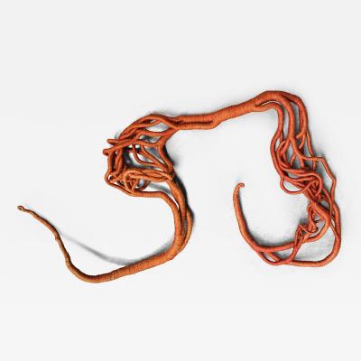 Aude Franjou Orange vine