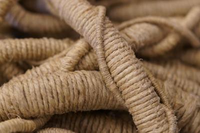 Aude Franjou Petite Corne