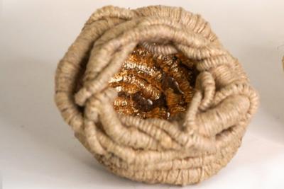 Aude Franjou Petits creux